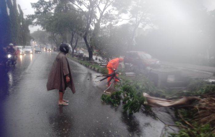 Jakarta Dan Sekitarnya Dilanda Angin Kencang: Banyak Pohon Tumbang Di ...