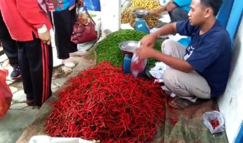 Harga Cabai Dan Bawang Merah Di Liwa Melonjak Naik | Berita Lampung ...